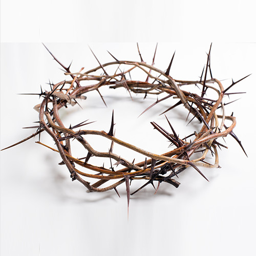 Crown of thorns