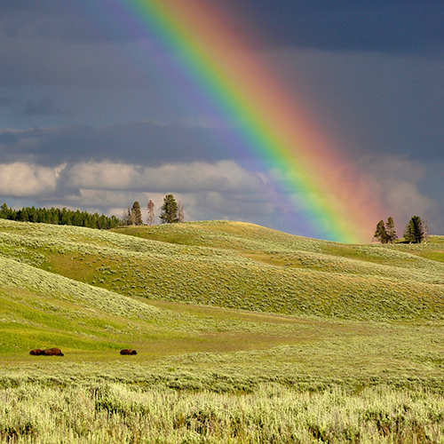 Picture of a brilliant rainbow over a field