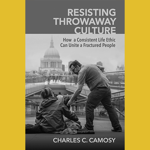Resisting Throwaway Culture book