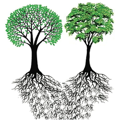 Catholic-Jewish Women's Conference logo- two trees
