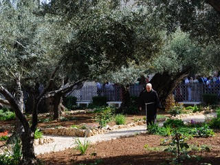 Garden of Gethsemane where Jesus spent his last night 
	with his disciples.
